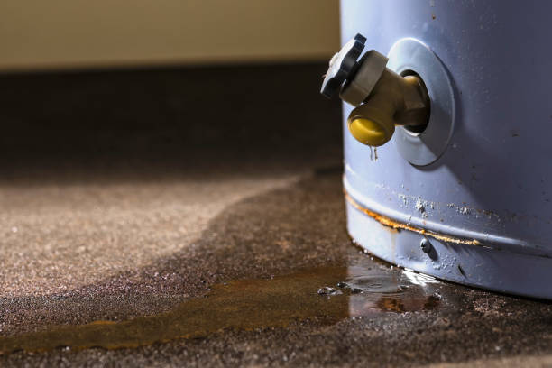 Best Water damage mitigation services  in Fort Montgomery, NY