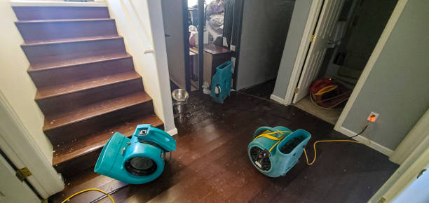 Best Residential water damage restoration  in Fort Montgomery, NY
