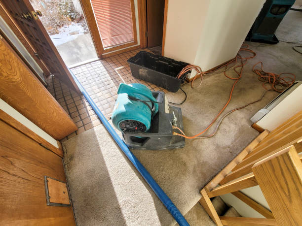 Best Basement water damage restoration  in Fort Montgomery, NY