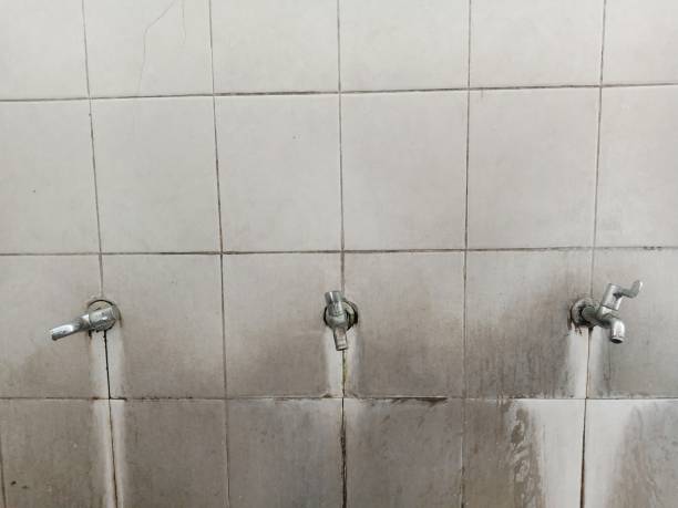 Best Fire Damage Restoration  in Fort Montgomery, NY